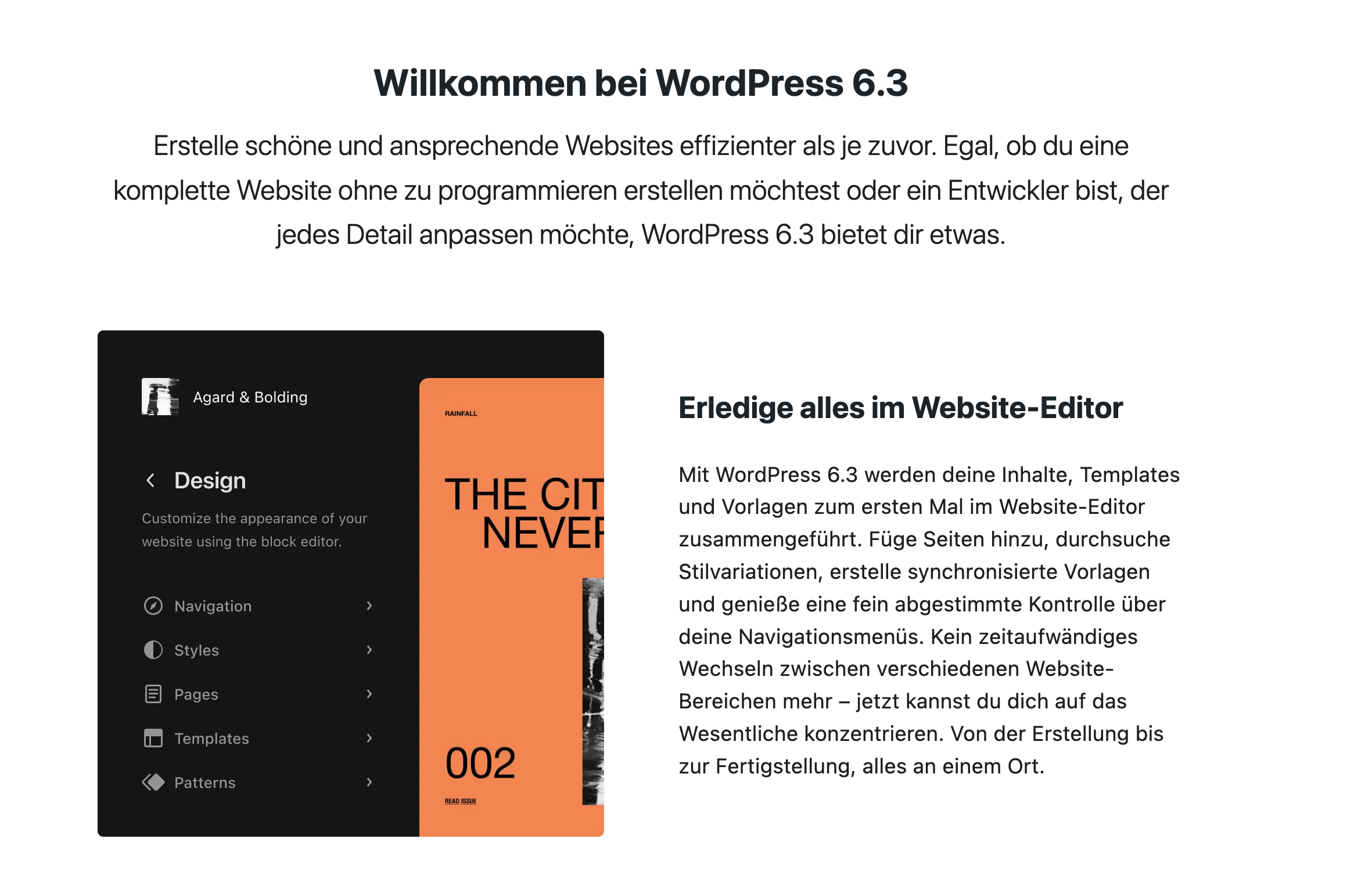 WordPress 6.3 Site-Editor